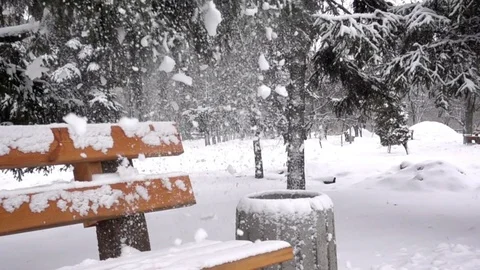 Snowflakes fall from the tree to the bench in Slow Motion. Stock Footage 84930019