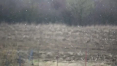 Snowflakes falling against blurred background Stock Footage 251955540