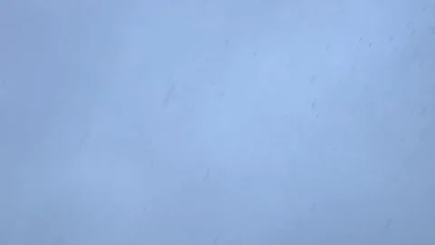 Snowflakes falling against evening sky, beauty of snowflakes, evening sky Stock Footage 288100731