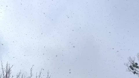 Snowflakes falling against evening sky, beauty of snowflakes, evening sky Stock Footage 288401213