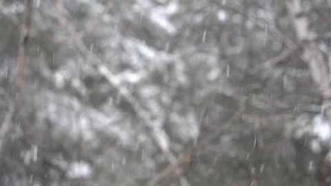 Snowflakes falling on the background of birch branches. Stock Footage 107045985