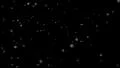 Snowflakes falling on black 2 HD Footage