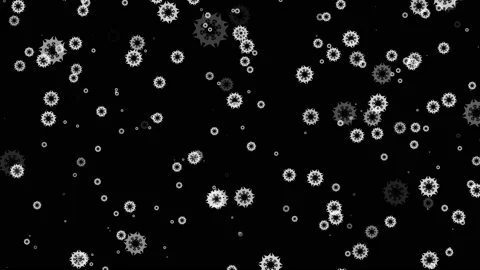 Snowflakes Falling On Black Background, New Year Celebration Holiday Decoration Stock Footage 165345544