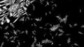 Snowflakes falling on black HD Footage