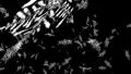Snowflakes falling on black loop HD Footage