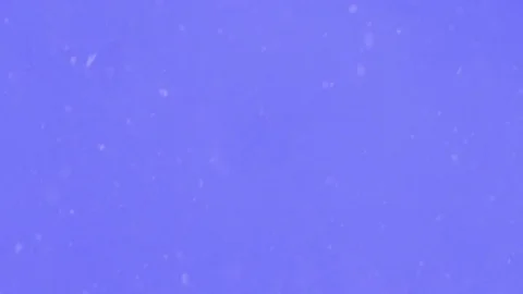 Snowflakes falling from a blue sky. Heavy snowfall on a cold winter day. Video stock 83270592