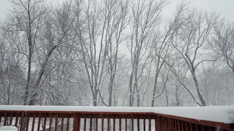 Snowflakes falling down on a wooden deck in the winter time with bare trees. Stock-Footage 264993366