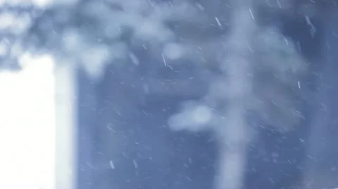 Snowflakes falling Stock Footage 11115759