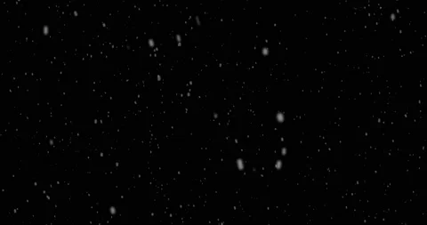Snowflakes falling Stock Footage 164772230