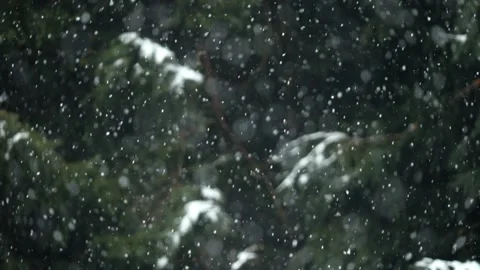 Snowflakes falling Stock Footage 226764720