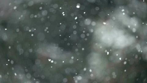 Snowflakes falling Stock Footage 226764721