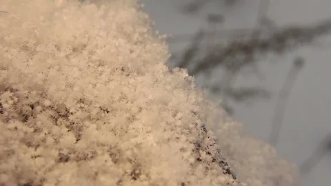 Snowflakes Falling Gracefully: A Mesmerizing Dance of Winter's Beauty Stock Footage 293705102