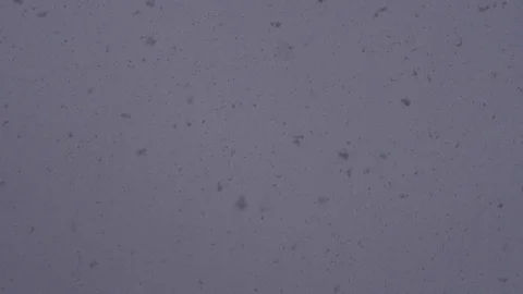 Snowflakes Falling from Gray Sky, Slow Motion Stock Footage 85224179