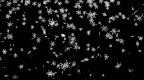 Snowflakes falling loop on black background Stock Footage 61646233