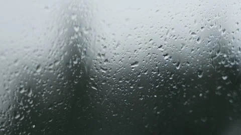 Snowflakes falling in a mountain forest (slow-motion shot) Video stock 295953781