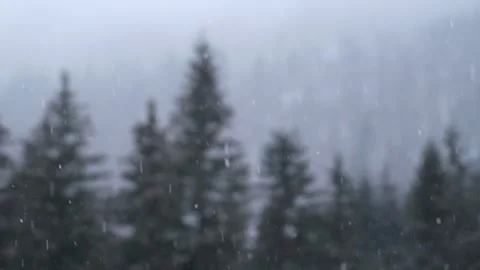 Snowflakes falling in a mountain forest (slow-motion shot) Video stock 295953793