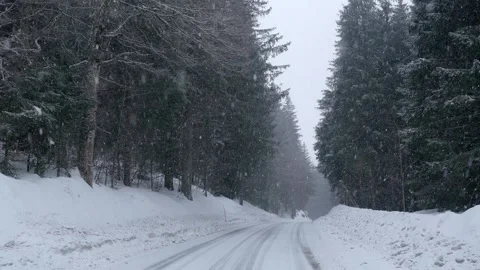 Snowflakes falling in a mountain forest (slow-motion shot) Video stock 295953878