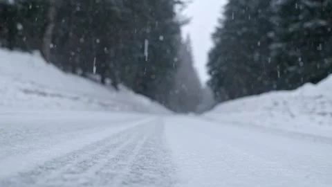 Snowflakes falling in a mountain forest (slow-motion shot) Video stock 295953892