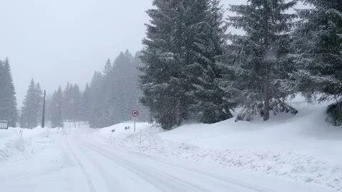 Snowflakes falling in a mountain forest (slow-motion shot) Video stock 295953902