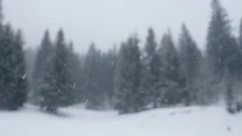 Snowflakes falling in a mountain forest (slow-motion shot) Video stock 295954058