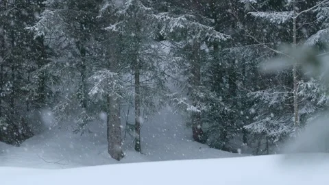 Snowflakes falling in a mountain forest (slow-motion shot) Video stock 295954060