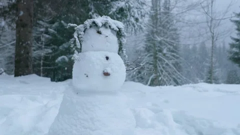 Snowflakes falling in a mountain forest (slow-motion shot) Video stock 295954073