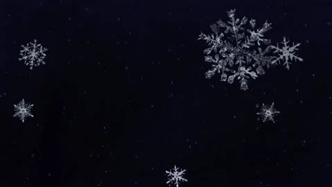 Snowflakes Falling in Night Sky | Cozy Winter Snow Scene Stock Footage