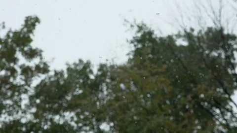 Snowflakes Falling POV with Shallow Focus Stock Footage 282826034
