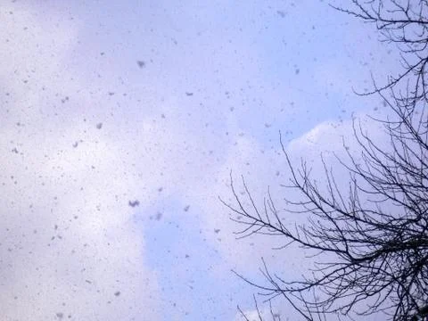 Snowflakes falling from the sky Stock Photos