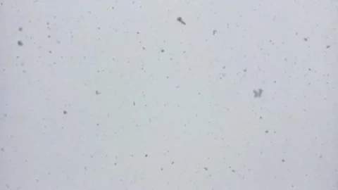 Snowflakes falling in slow motion Stock Footage 311563557