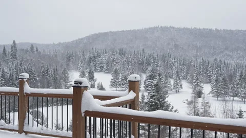 Snowflakes falling in slow motion Video stock 329200123