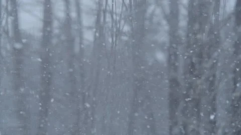 Snowflakes falling in SLOW MOTION, seen through window panes. Stock Footage 147572411