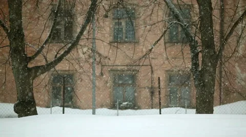 Snowflakes falling slowly in a snowfall with a house and trees in the background Stock Footage 41578039