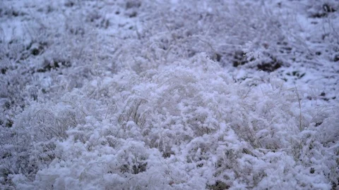 Snowflakes Falling on Snow-Covered Grass in the Winter Peaceful Abstract Video stock 124622359