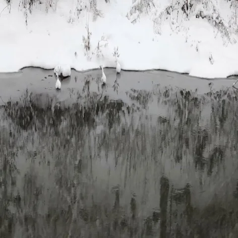 Snowflakes falling, snowfall. Scenic winter landscape. River Stock Footage 69442593