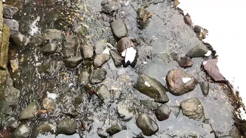 Snowflakes falling on stream with Rocks 4K Stock Footage 250559698