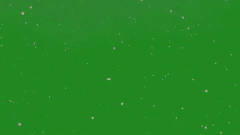 Snowflakes falling from top to bottom on green screen Stock Footage 315906171