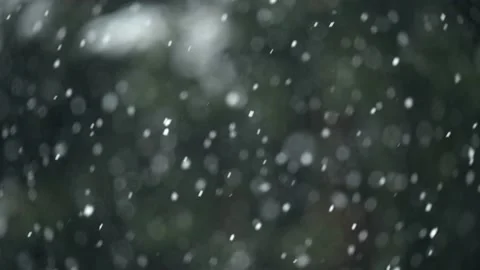 Snowflakes falling on tree branches 2 Stock Footage 226759675