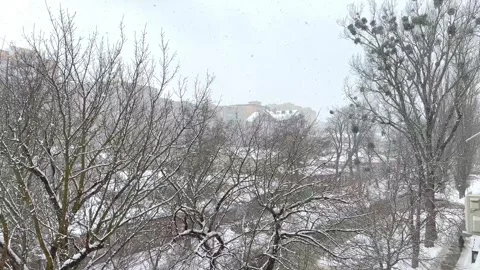 Snowflakes is falling. View from home window on snow-covered trees Stock Footage 288401343