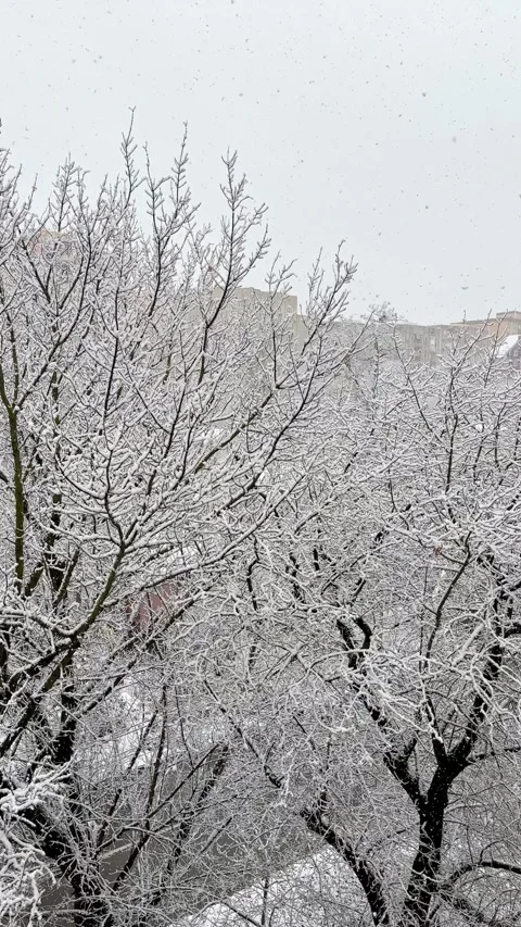 Snowflakes is falling. View from home window on snow-covered trees Stock Footage 288401463