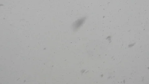 Snowflakes falling, winter background. Snowstorm, snowy weather. Stock Footage 74920893