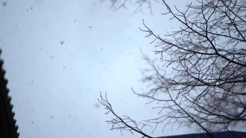 Snowflakes falling in winter in slow-motion with bokeh, dark background and tree Stock Footage 151466224