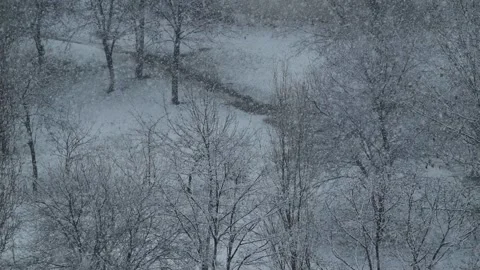 Snowflakes falling in winter in slow motion. Stock Footage 336003659