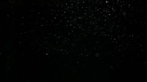 Snowflakes float slowly on a black background. Vídeo Stock 257465553