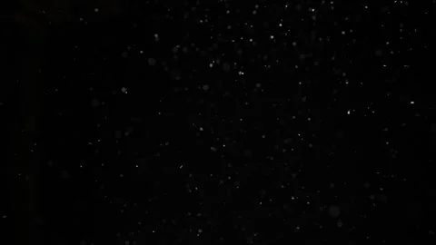Snowflakes float slowly on a black background. 動画素材 257466404