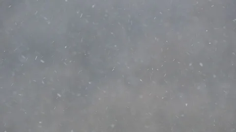 Snowflakes fly with cold winter wind on the forest blurred background Stock Footage 102675971
