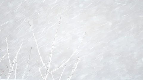 Snowflakes fly in different directions on a neutral light background. Stock Footage 85880690