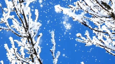 Snowflakes fly in the wind in winter Stock-Footage 144940516