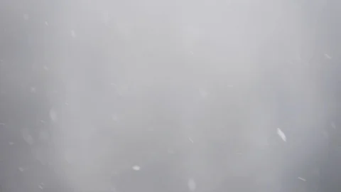Snowflakes flying and falling on blurred background in winter Stock Footage 101779223