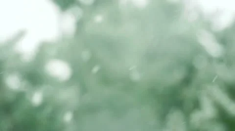 Snowflakes Stock Footage 10632376